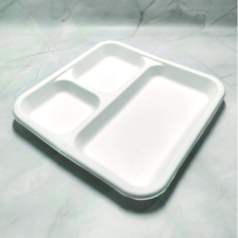Serving Plate (100 pcs)