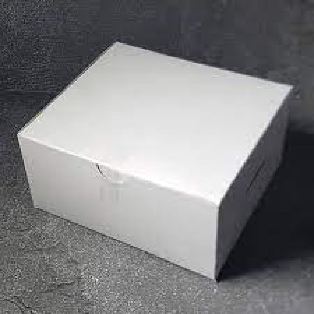 SnackBox (100 Boxes)
