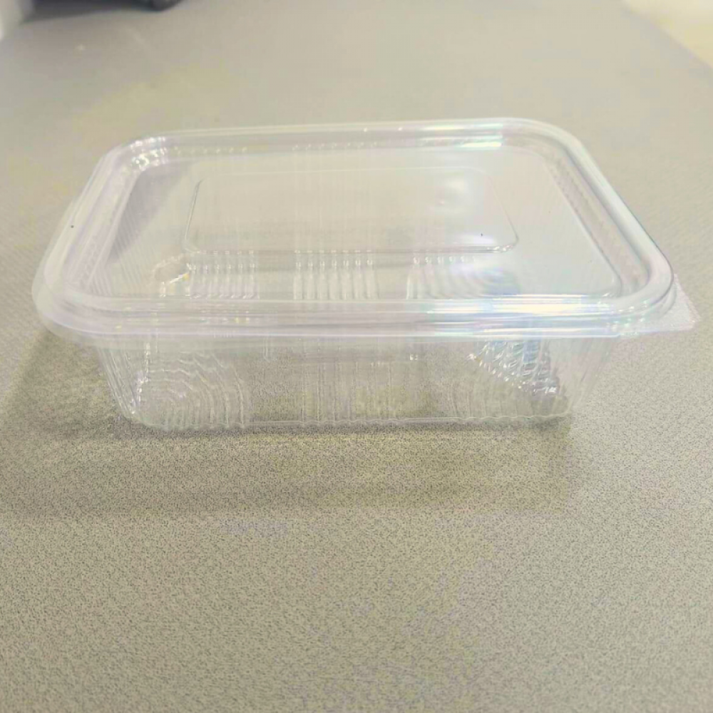 6 pcs Modak Container (750ml ) (50 Containers per pack)